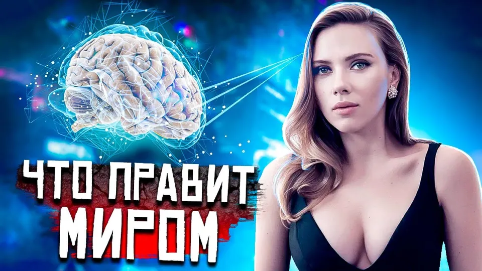 Что правит миром Интересные факты про мозг человека